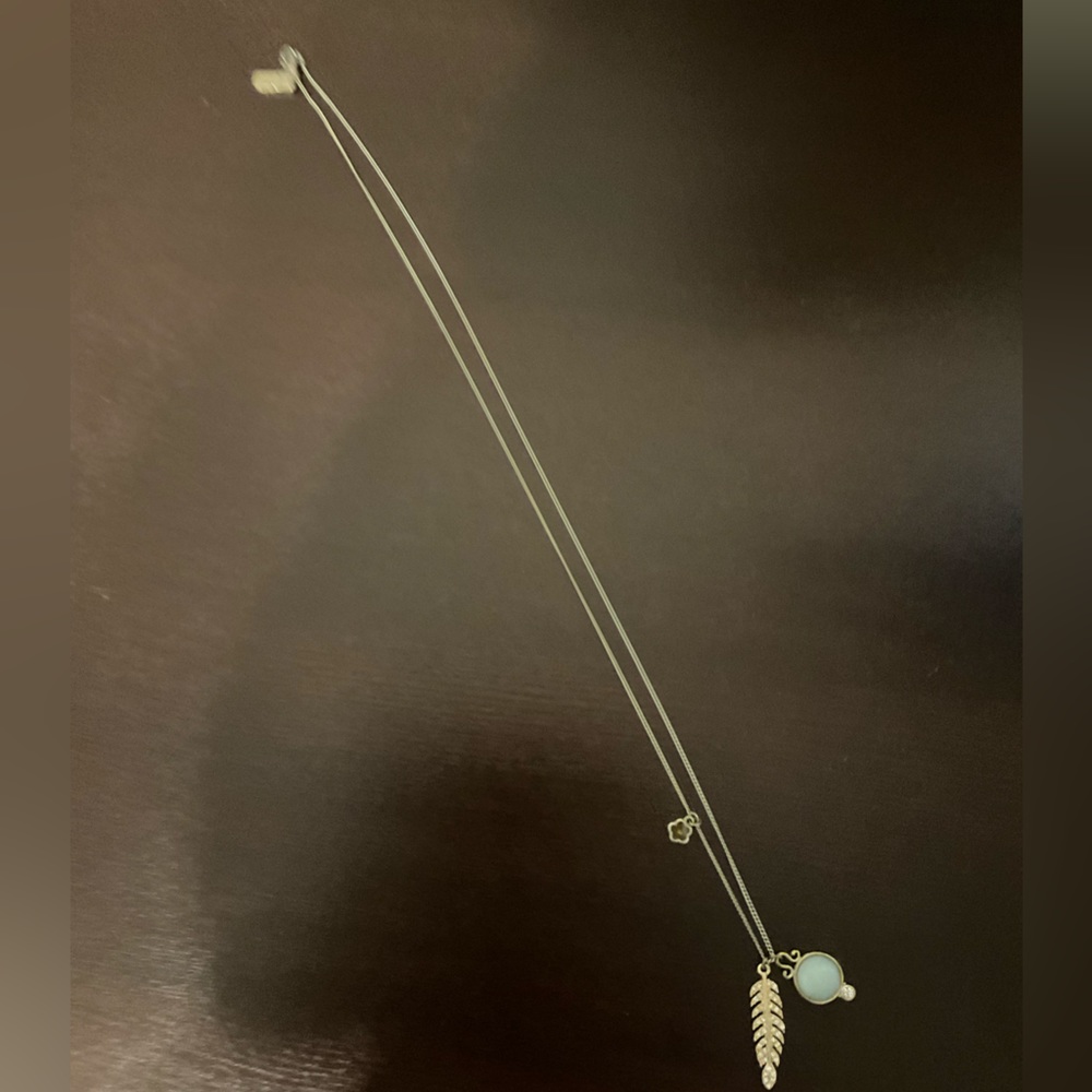 Premier Designs mustard seed necklace
